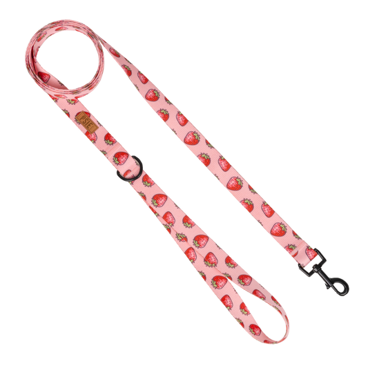 PSIEŁAPKI Smycz miejska dla psa wzór "Truskawkowy zawrót głowy"