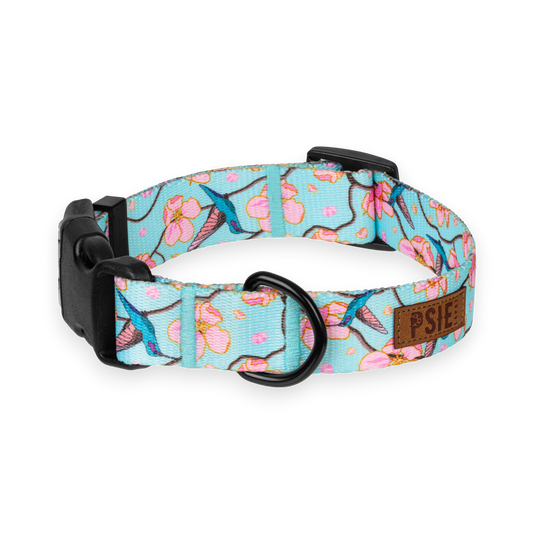 Regulowana obroża dla psa arizona  – wytrzymała, z mocnymi okuciami.
