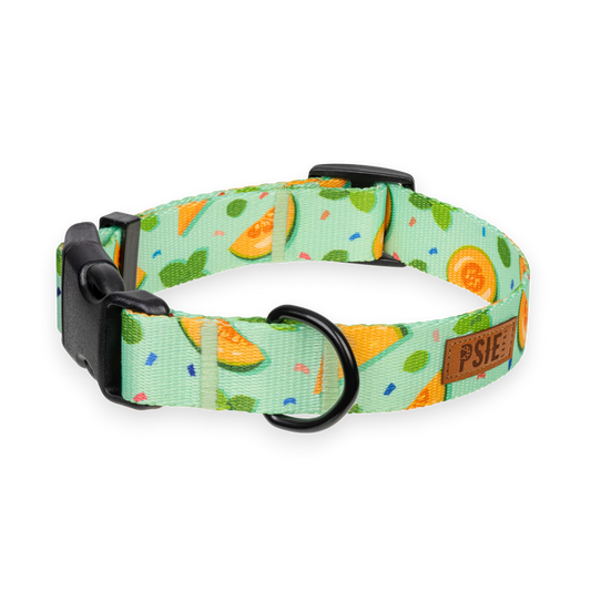 Regulowana obroża dla psa w melony – wytrzymała, z mocnymi okuciami.
