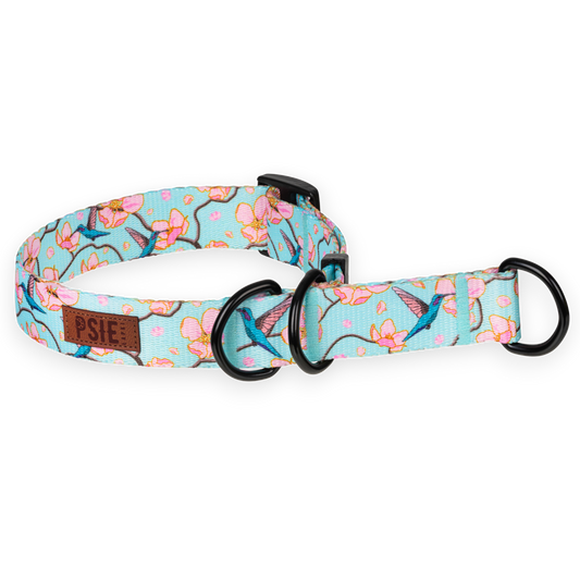 Obroża półzaciskowa dla psa arizona  – wygodna, bezpieczna, mocne okucia.