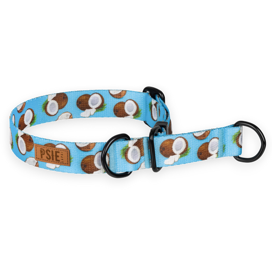 Obroża półzaciskowa dla psa w kokosy – wygodna, bezpieczna, mocne okucia.