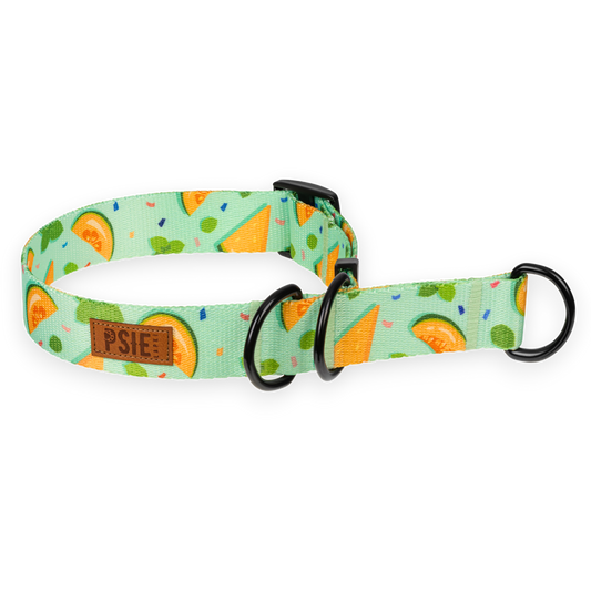 Obroża półzaciskowa dla psa w melony – wygodna, bezpieczna, mocne okucia.