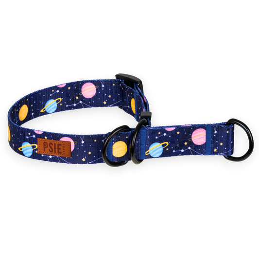 Obroża półzaciskowa dla psa psiorbita – wygodna, bezpieczna, mocne okucia.