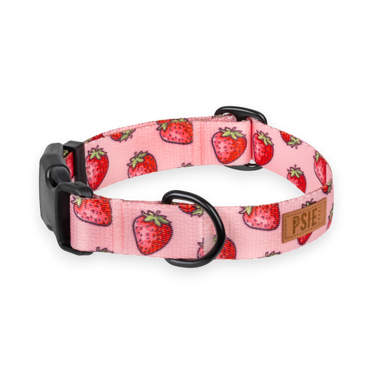 Regulowana obroża dla psa w truskawki  – wytrzymała, z mocnymi okuciami.
