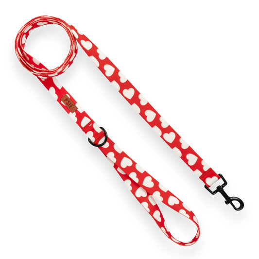 Smycz miejska dla psa w serca - wygodna na spacery, mocne karabińczyki.