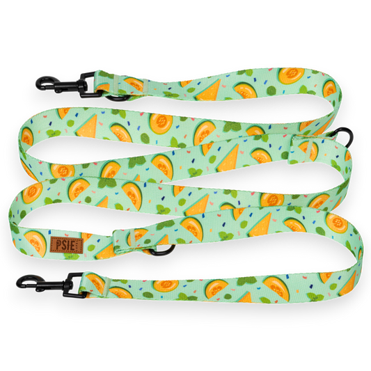 Smycz przepinana dla psa w melony - regulowana długość, mocne karabińczyki.