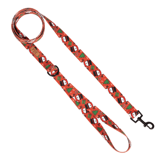 PSIEŁAPKI Smycz miejska dla psa wzór "Ale bałwan"