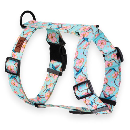 Szelki Guard arizona dla psa – regulowane, z mocnymi okuciami.