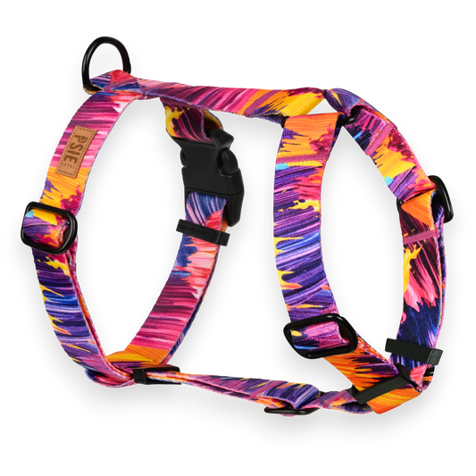 Szelki Guard farbą malowane dla psa – regulowane, z mocnymi okuciami.