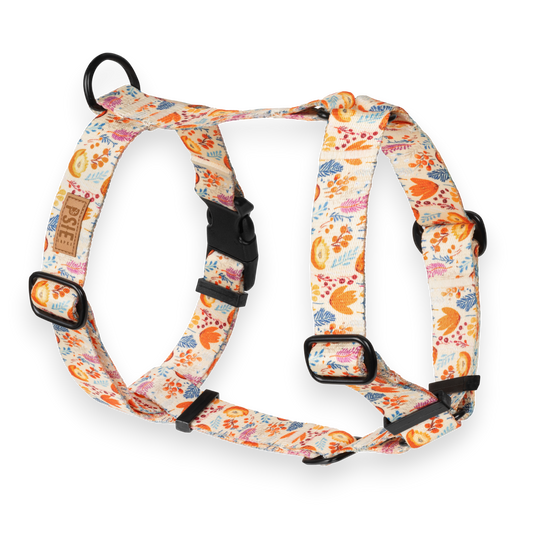 Szelki Guard pjesień dla psa – regulowane, z mocnymi okuciami.