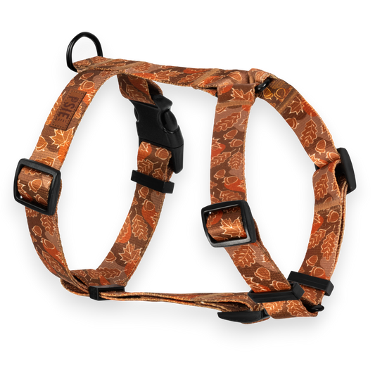 Szelki Guard pod dębem dla psa – regulowane, z mocnymi okuciami.