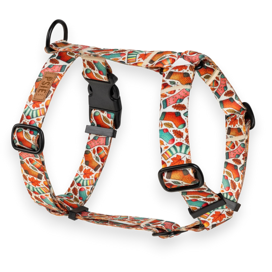 Szelki Guard zimne nóżki dla psa – regulowane, z mocnymi okuciami.