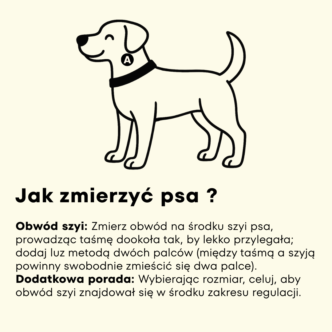 Jak zmierzyć psa do obroży z klamrą – instrukcja pomiaru