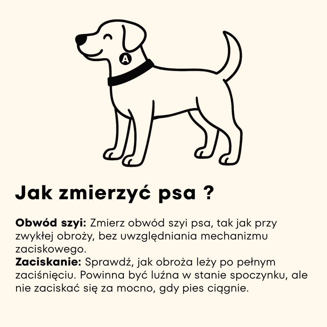 tabela_rozmiarow_obroza_polzaciskowa_2