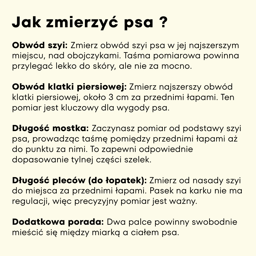 Jak zmierzyć psa do szelek guard  – instrukcja pomiaru